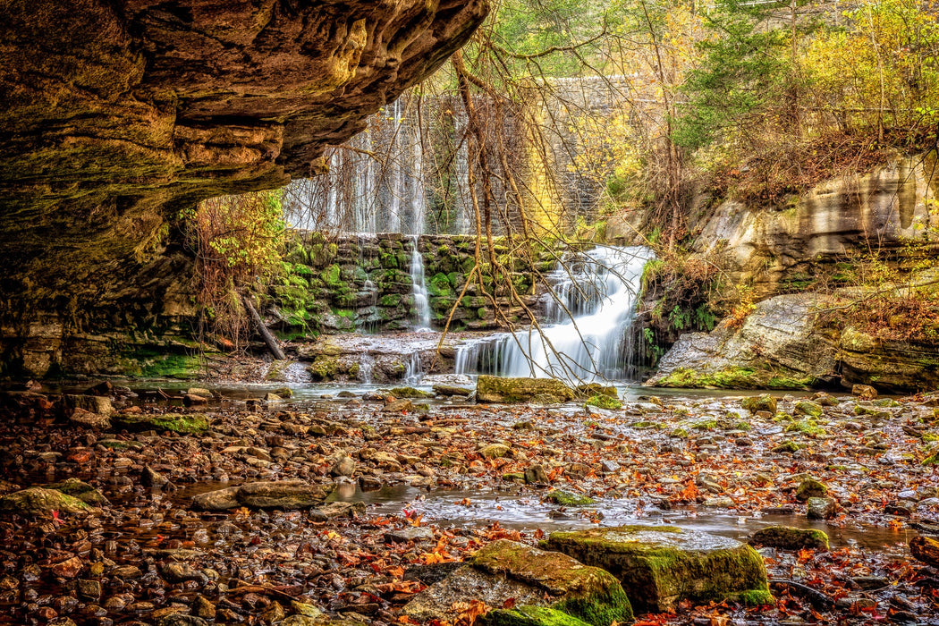 Wimberley Puzzle Company Ozarks and Beyond | National Parks Puzzle | 250, 500, 1000 Pieces