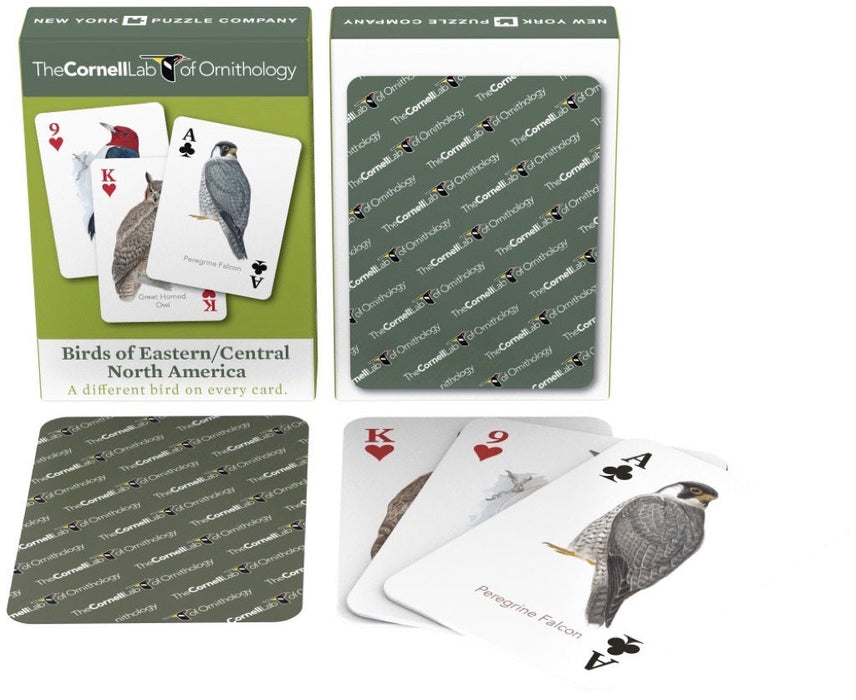 New York Puzzle Company Birds of Eastern/Central North America Playing Cards
