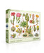 New York Puzzle Company Cacti ~ Cactus, 1000 Piece Jigsaw Puzzle