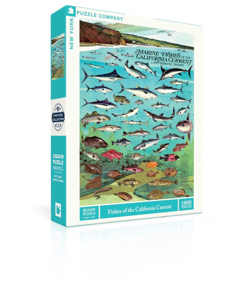 New York Puzzle Company Fishes of the California Current, 1000 Piece Jigsaw Puzzle