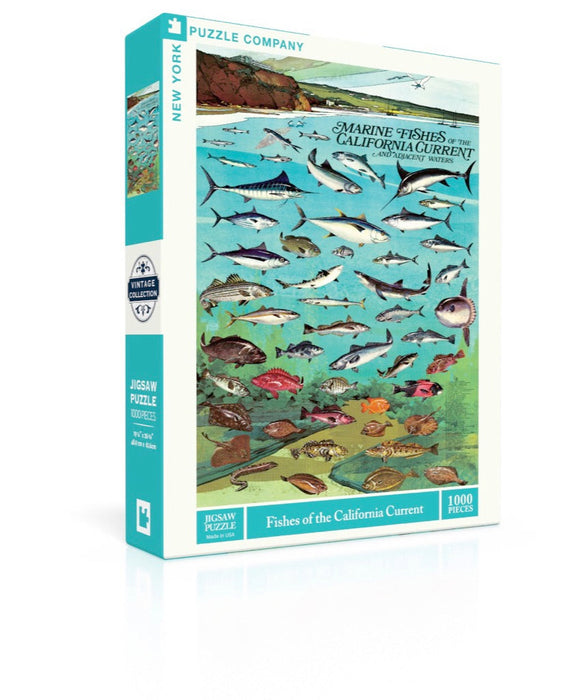 New York Puzzle Company Fishes of the California Current, 1000 Piece Jigsaw Puzzle