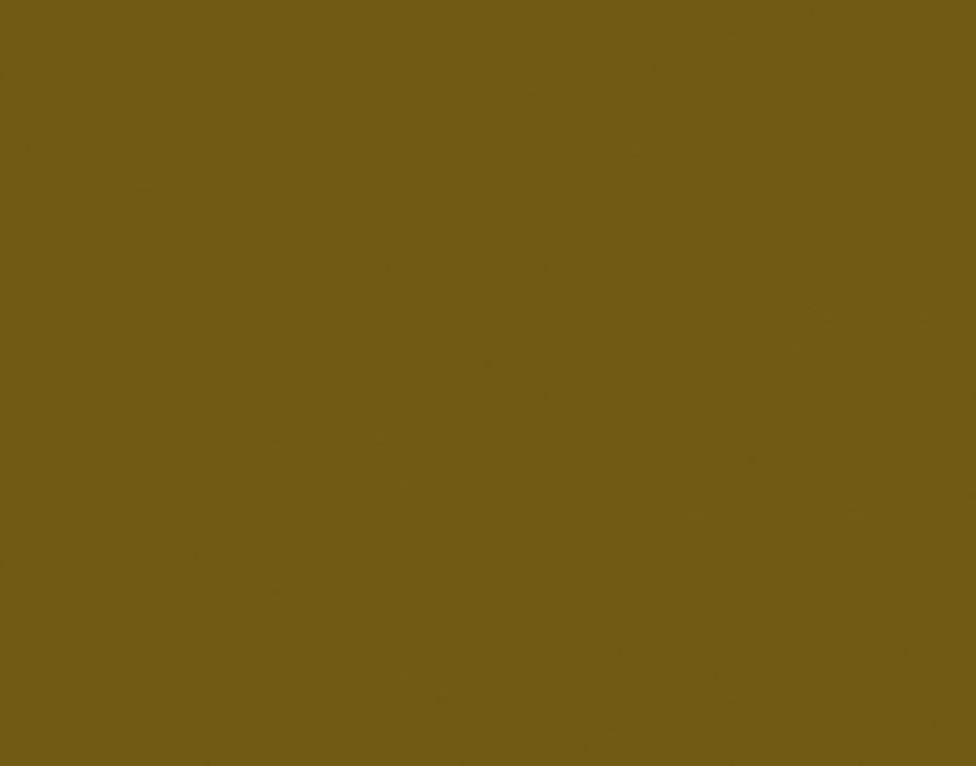 AK Interactive 1025 Olive Drab Lacquer Spray 150ml