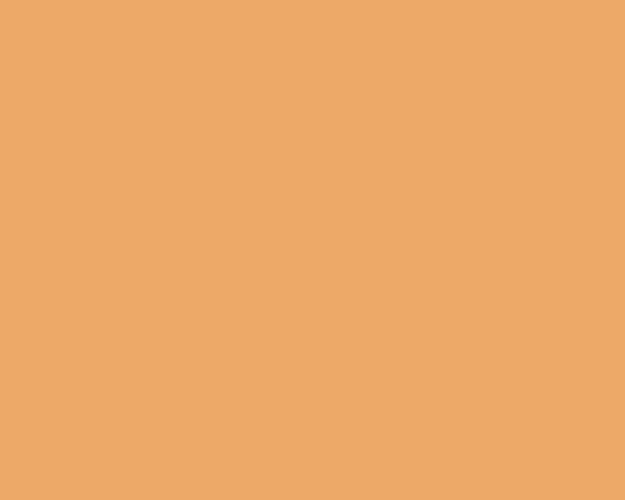 AK Interactive 11055 Sunny Skin Tone 3G Acrylic Paint 17ml Bottle