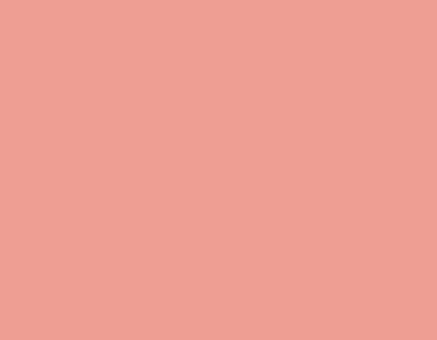 AK Interactive 11061 Salmon 3G Acrylic Paint 17ml Bottle