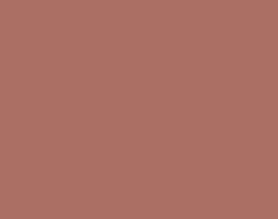 AK Interactive 11063 Brown Rose 3G Acrylic Paint 17ml Bottle