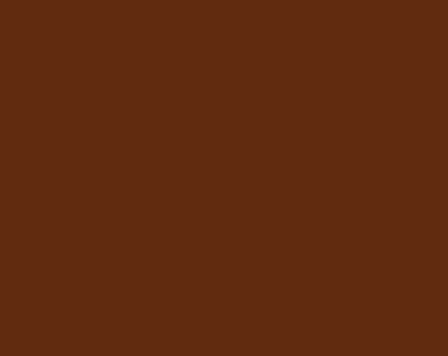 AK Interactive 11106 Mahogany Brown 3G Acrylic Paint 17ml Bottle