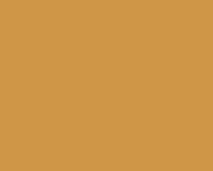 AK Interactive 11116 Tan Yellow 3G Acrylic Paint 17ml Bottle