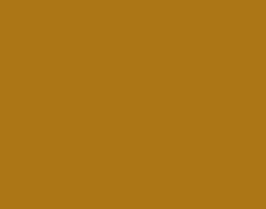 AK Interactive 11117 Golden Brown 3G Acrylic Paint 17ml Bottle