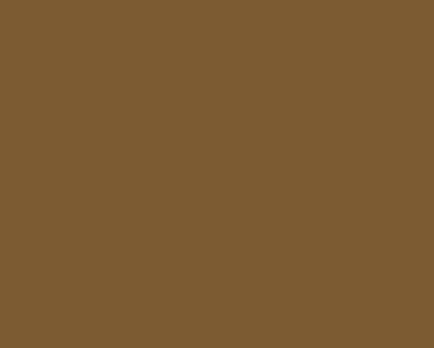 AK Interactive 11121 Tan Earth 3G Acrylic Paint 17ml Bottle