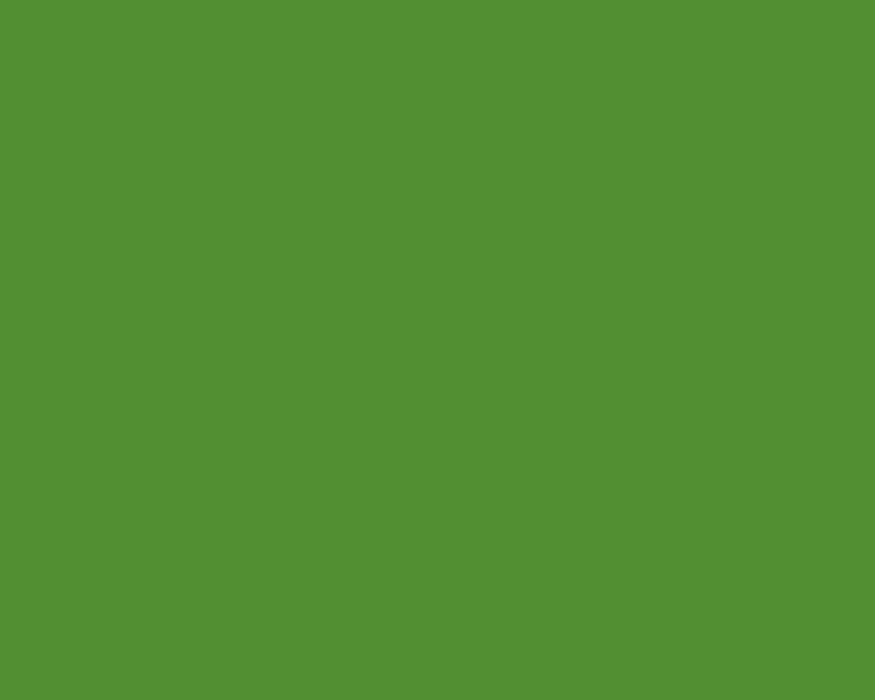 AK Interactive 11141 Light Green 3G Acrylic Paint 17ml Bottle