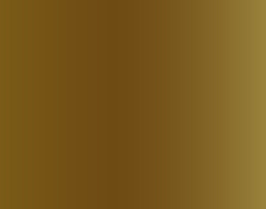 AK Interactive 11193 Rusty Gold Metallic 3G Acrylic Paint 17ml Bottle