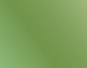 AK Interactive 11205 Metallic Green 3G Acrylic Paint 17ml Bottle