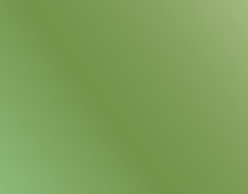 AK Interactive 11205 Metallic Green 3G Acrylic Paint 17ml Bottle
