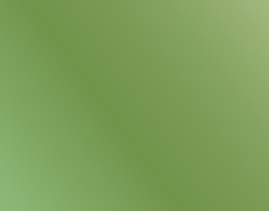 AK Interactive 11205 Metallic Green 3G Acrylic Paint 17ml Bottle