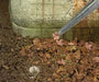 AK Interactive 8114 Diorama Series: Alamo Poplar Winter Leaves