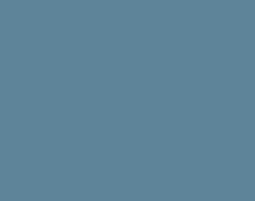 AK Interactive RC816 Real Colors Standard: Pale Blue Lacquer Based Paint 17ml Bottle