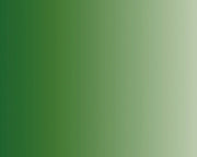 AK Interactive RC823 Real Colors Standard: Clear Green Lacquer Based Paint 17ml Bottle