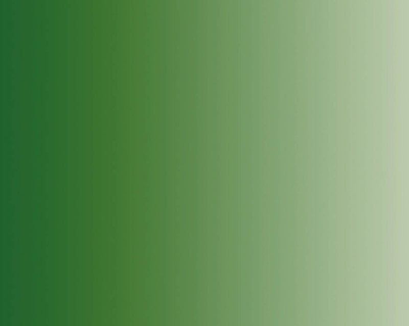 AK Interactive RC823 Real Colors Standard: Clear Green Lacquer Based Paint 17ml Bottle