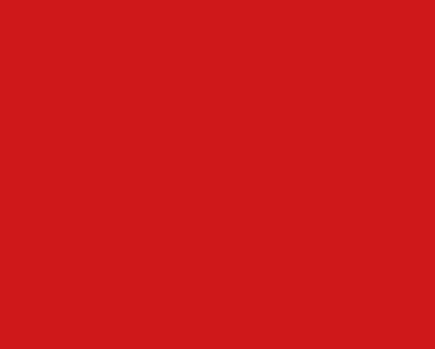 AK Interactive RC832 Real Colors Civil: BT Alfa Red Lacquer Based Paint 17ml Bottle