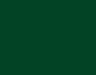 AK Interactive RC847 Real Colors Civil: British Racing Green Lacquer Based Paint 17ml Bottle