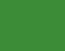 AK Interactive RC849 Real Colors Civil: Ninja Green Lacquer Based Paint 17ml Bottle