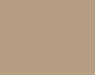 AK Interactive RC885 Real Colors Military: CARC Tan 686A Lacquer Based Paint 17ml Bottle