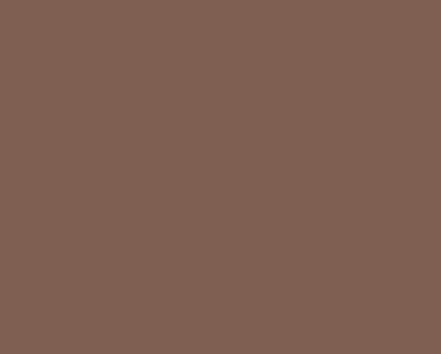 AK Interactive RC893 Real Colors Military: Earth Red Lacquer Based Paint 17ml Bottle