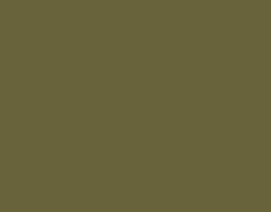 AK Interactive RC906 Real Colors Military: Interior Green Lacquer Based Paint 17ml Bottle