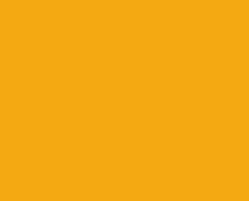 AK Interactive RC934 Real Colors Military: RLM04 Yellow Lacquer Based Paint 17ml Bottle