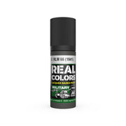 AK Interactive RC938 Real Colors Military: RLM66 1941 Dark Grey Lacquer Based Paint 17ml Bottle
