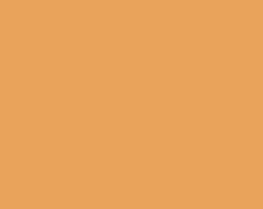 AK Interactive RC947 Real Colors Military: RLM79 Sand Yellow Lacquer Based Paint 17ml Bottle