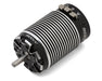Team Associated 27509 Reedy Sonic 900 DE 1/8 Scale Buggy Competition Sensored Brushless Motor (1900kV)