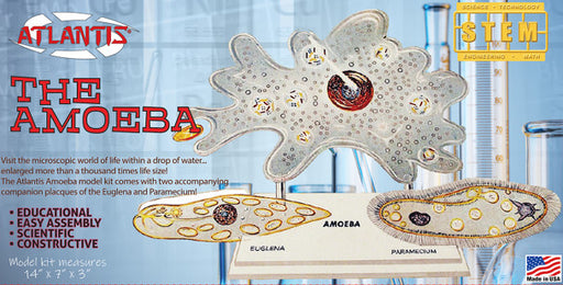 Atlantis Models L3800 1000/1 Amoeba Single Cell STEM Model Kit