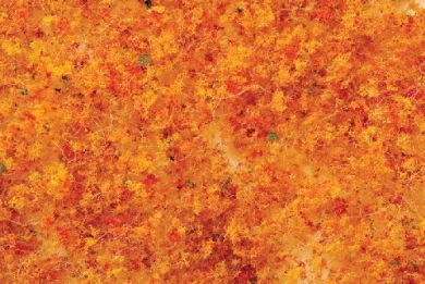 Bachmann SceneScapes 32611 Medium Foliage - Early Fall