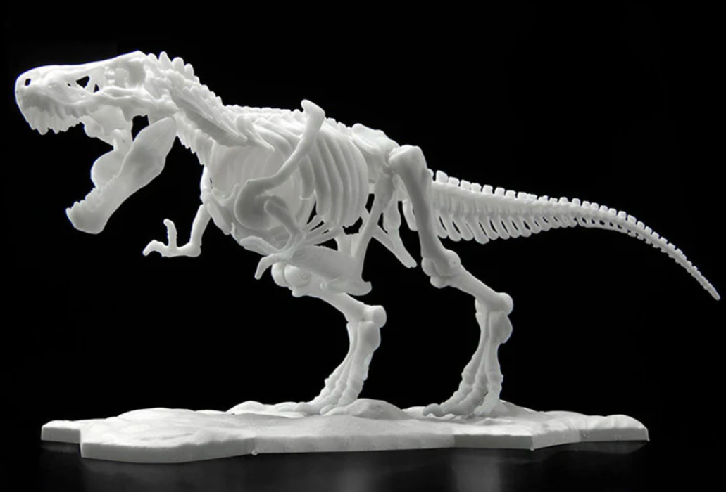 Bandai 2569526 Limex Skeleton: Tyrannosaurus Dinosaur Model Kit