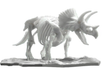 Bandai 2569527 Limex Skeleton: Triceratops Dinosaur Model Kit