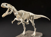 Bandai 2704777 Dinosaur Series Plannosaurus #08 Giganotosaurus Snap Model Kit