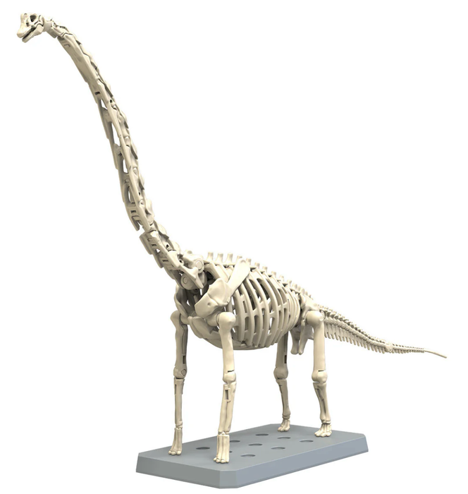 Bandai 2723576 Dinosaur Series Plannosaurus Brachiosaurus  Snap Model Kit