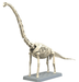Bandai 2723576 Dinosaur Series Plannosaurus Brachiosaurus  Snap Model Kit