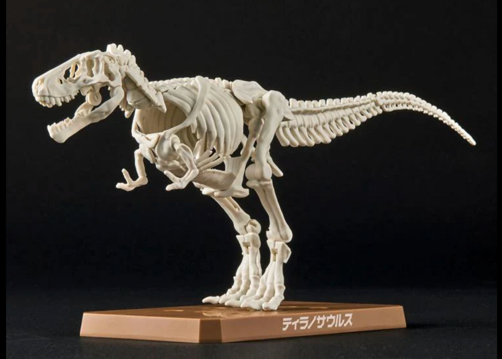 Bandai 5064262 Dinosaur Series #01 Tyrannosaurus Snap Model Kit