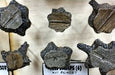 Bar Mills Scale Model Works 4027 O Scale Cut Tree Stumps (6 Pack of Castings)