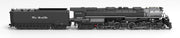 BLI N Scale 4-6-6-4 Challenger Steam Loco Rio Grande D&RGW - Paragon4 (DC/DCC/Sound/Smoke)
