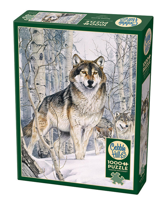 Cobble Hill 40143 Second Glance 1000 Piece Puzzle