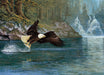 Cobble Hill 40264 Fly Fishing 1000 Piece Puzzle