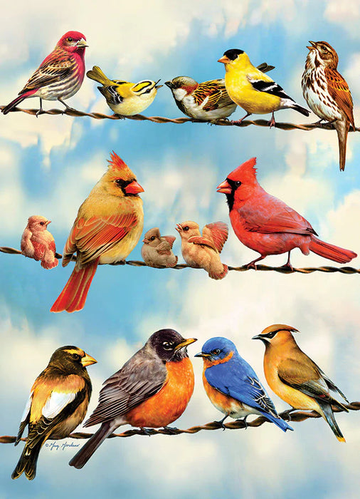 Cobble Hill 45046 Birds On A Wire 500 Piece Puzzle