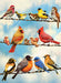 Cobble Hill 45046 Birds On A Wire 500 Piece Puzzle
