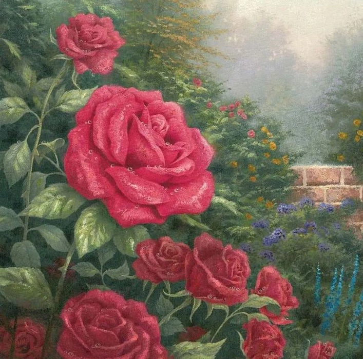 Cobble Hill 60353 Perfect Red Rose Paint by Number (12"x12")