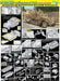 Dragon Models 6677 1/35 Sd.Kfz.10/5 w/Armoured Cab fur 2cm flak 38 Model Kit