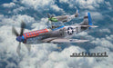 Eduard 2147 1/72 WWII P51-D US Fighter Dual Combo Model Aircraft Kit