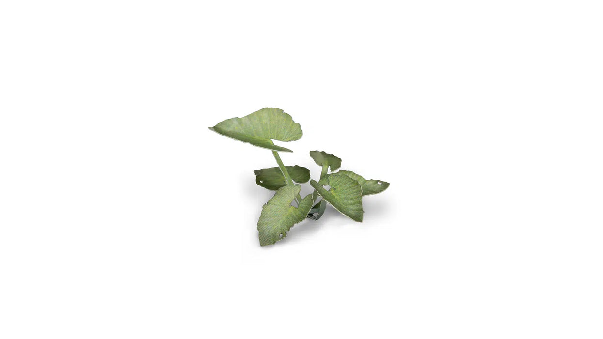 Gamers Grass 789983 Elephant Ear Laser Cut Plants (51 Pack)